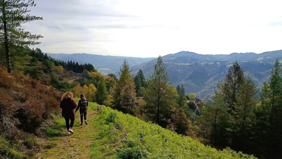 Au cœur du vignoble du Fel