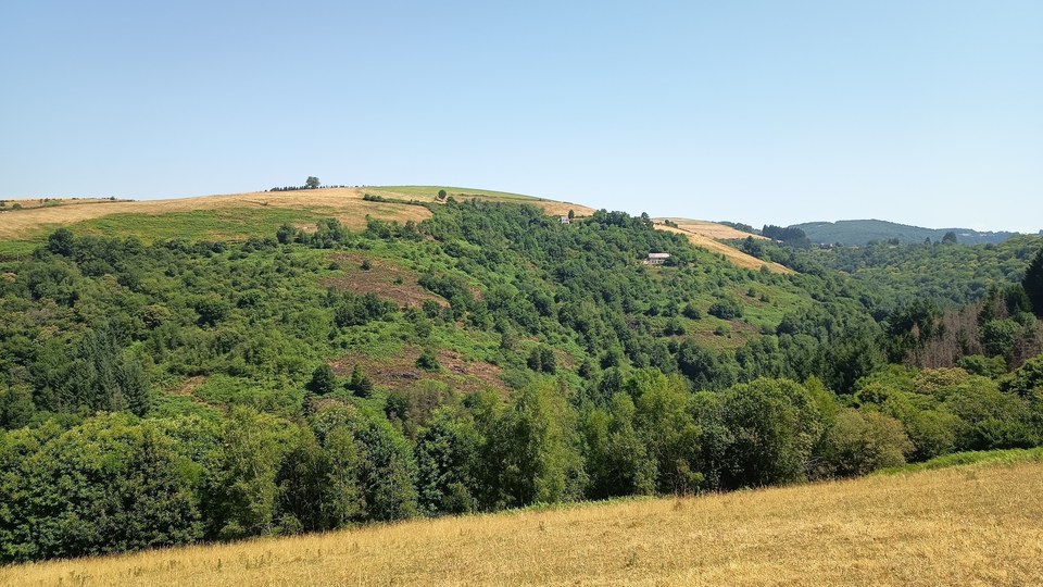 Le vallon du Cayron