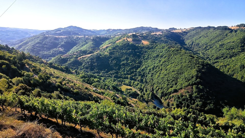 Les vignobles du Fel sur les versants de la vallée du Lot