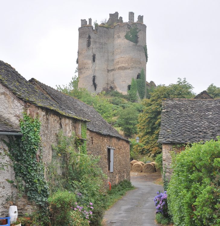 ruines du château de Roumégous, La Salvetat-Peyralès