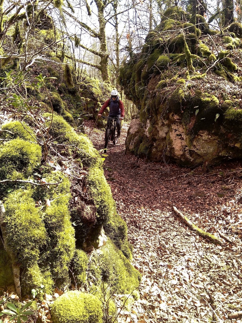 VTT N°71 - Le tour du Lac