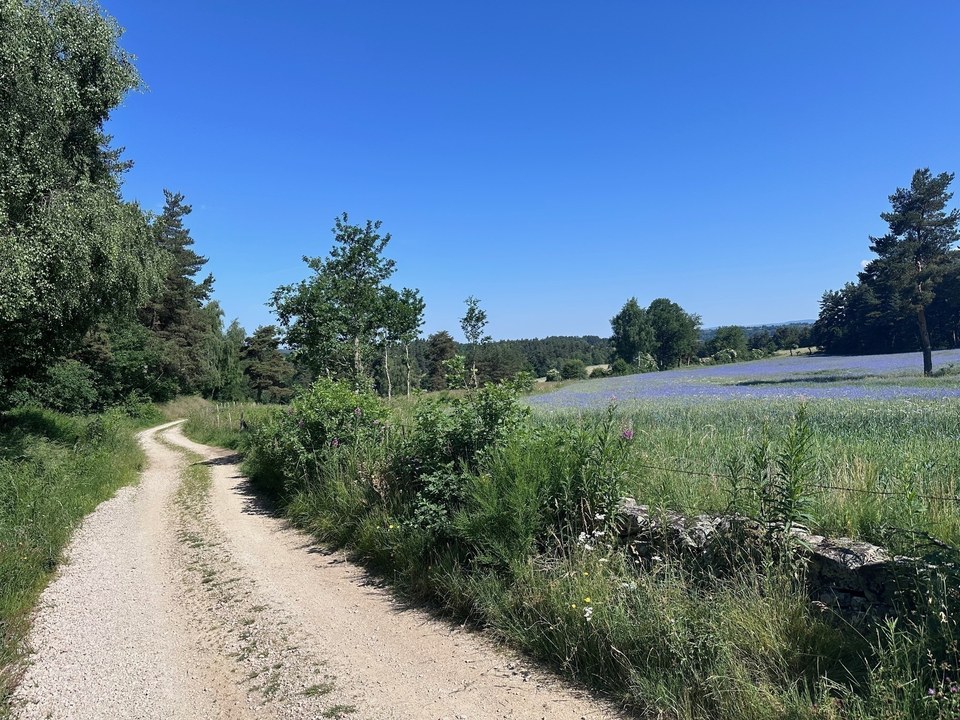 Piste de Margeride