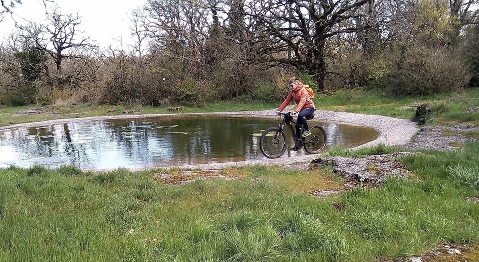 VTT N°74 - Circuit Le tour de Favet