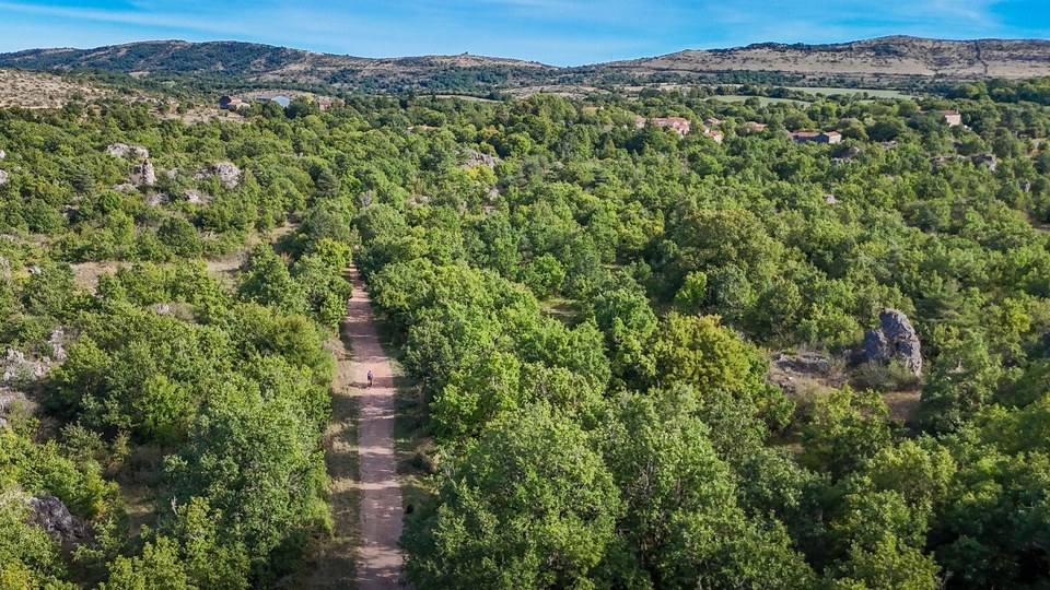 Cycliste gravel sur belle piste du larzac