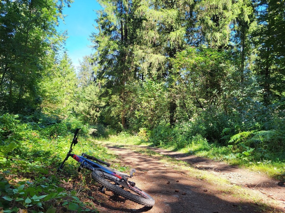 VTT N°78 - Circuit forêt de l'Escandorgue