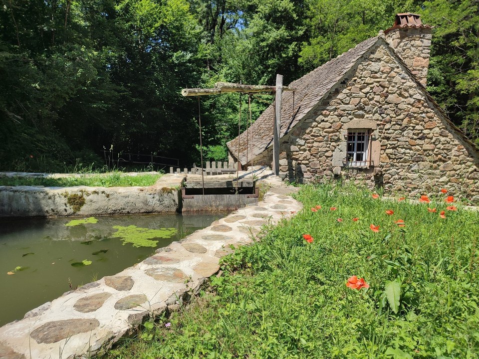 Les Martinets du Lézert