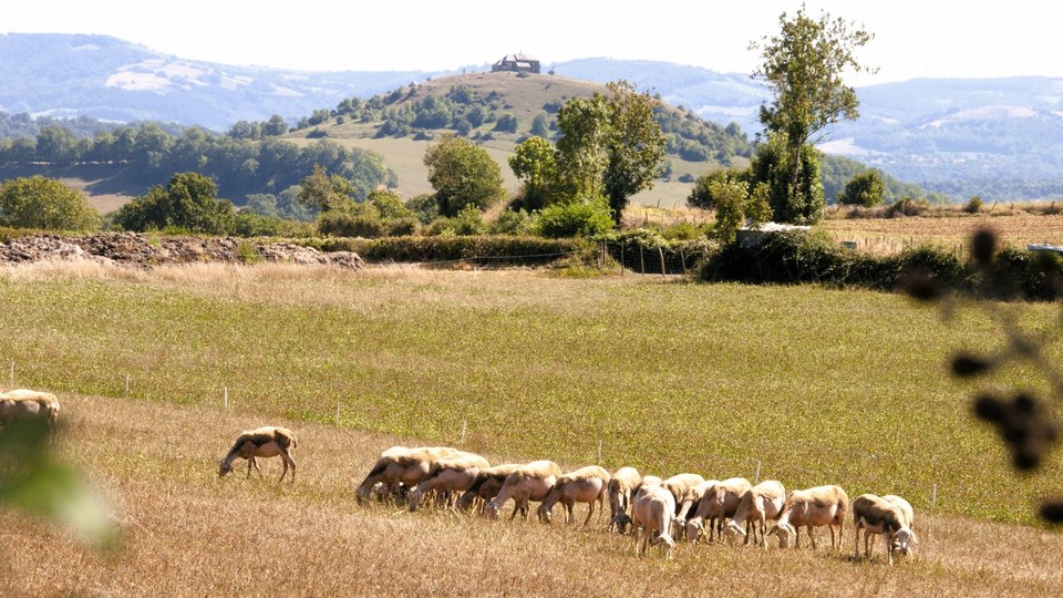 Balade à l'ombre du Calvaire