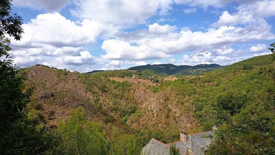 Les gorges du Lot au-dessus du Bois d'Izard