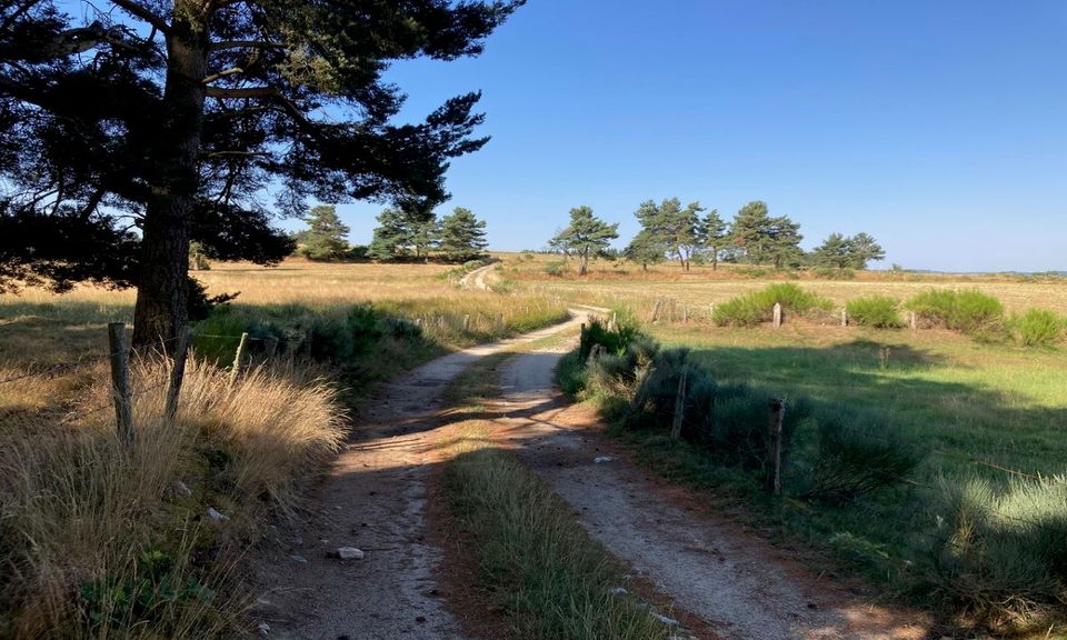Piste sur la Margeride