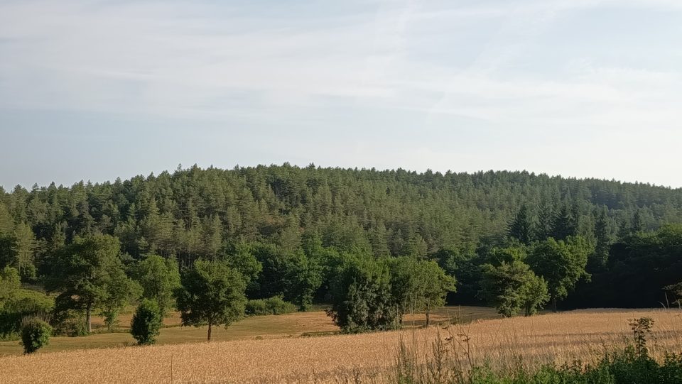 Le massif des Palanges