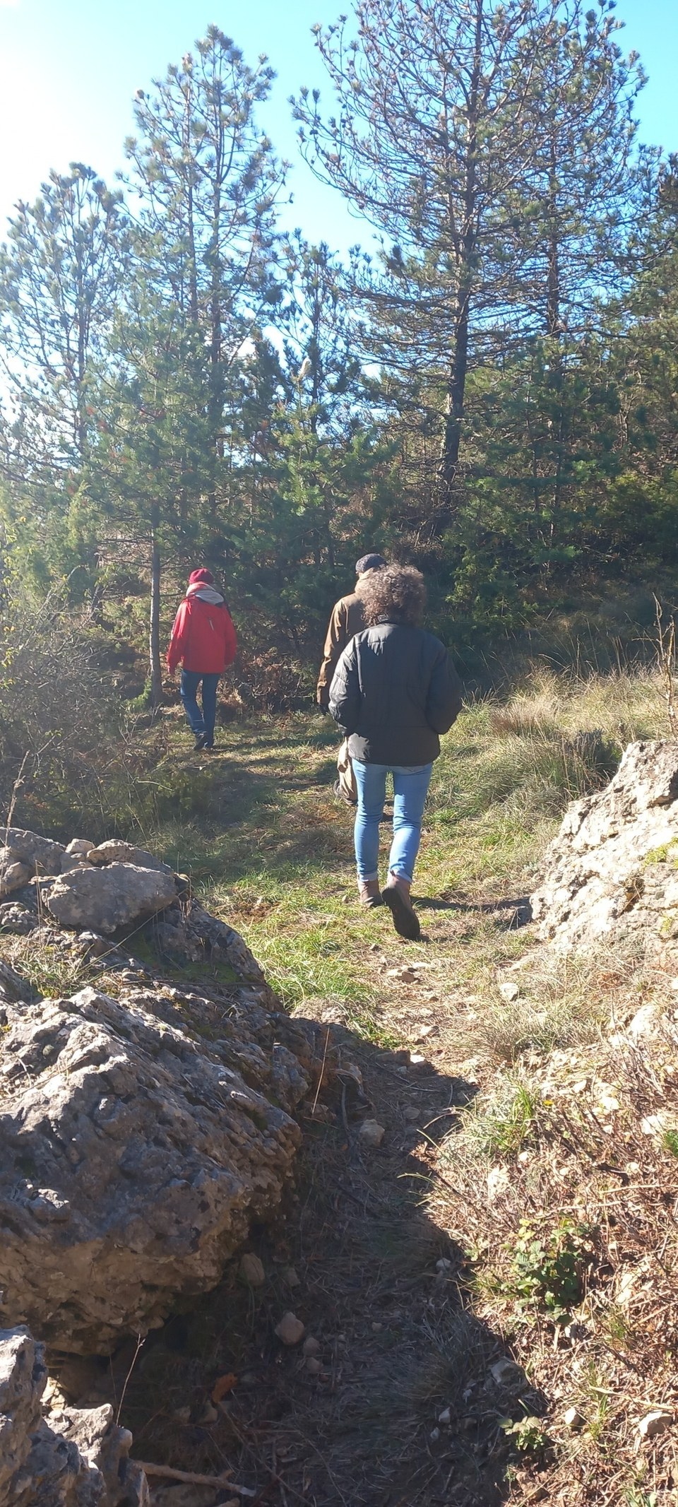 rando causse