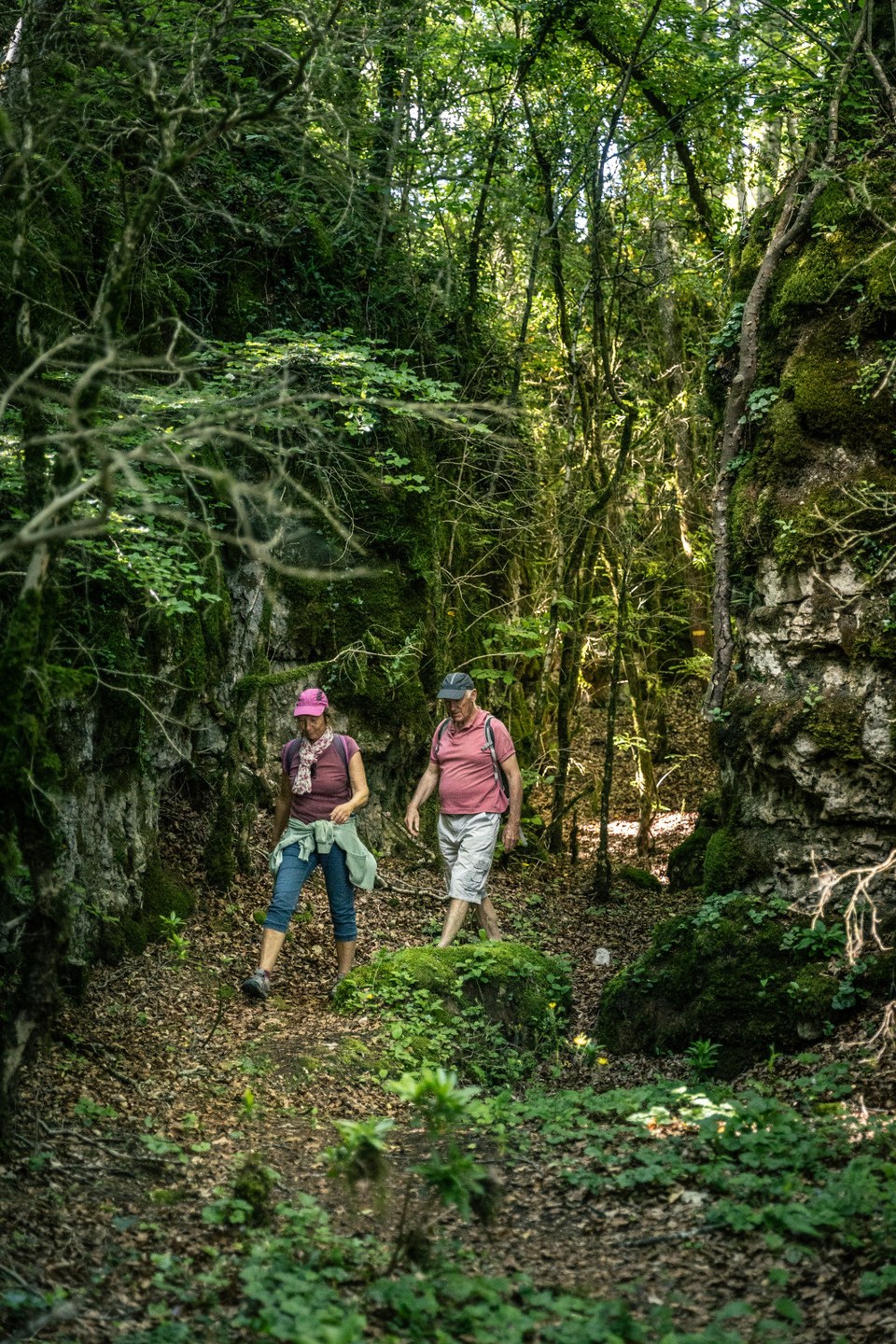 rando forêt Roquet Escu