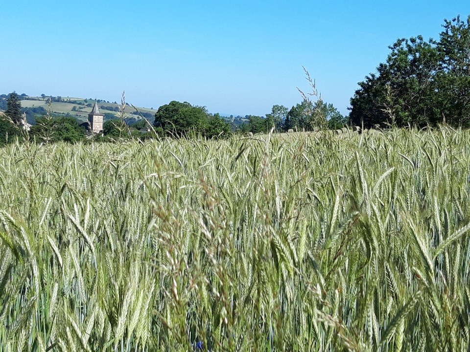 Paysages autour de Teulières