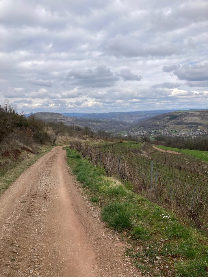 Vignes et bois autour de Cassagnes