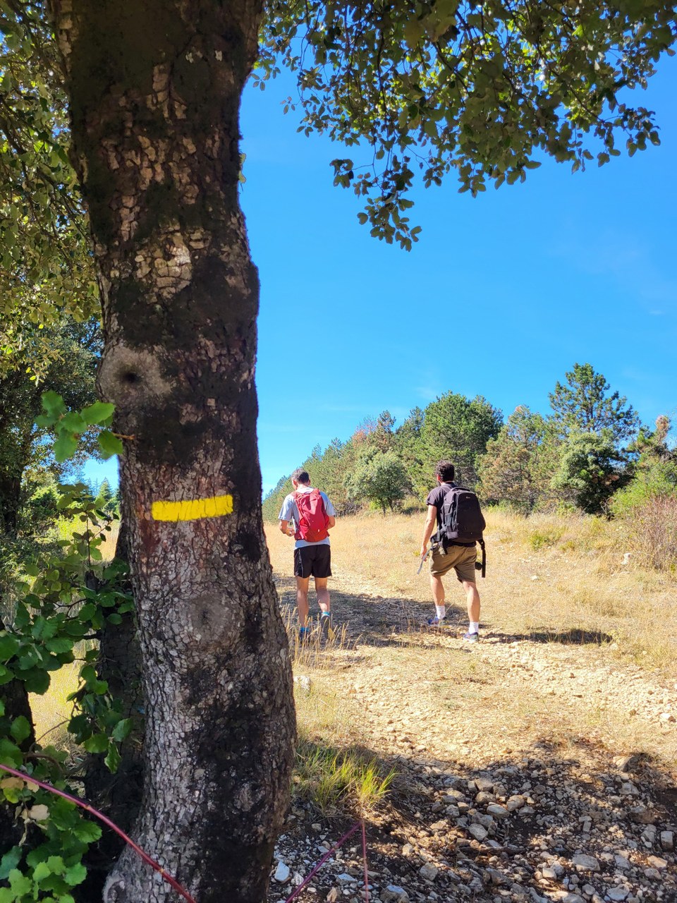 Le Plateau du Grézac