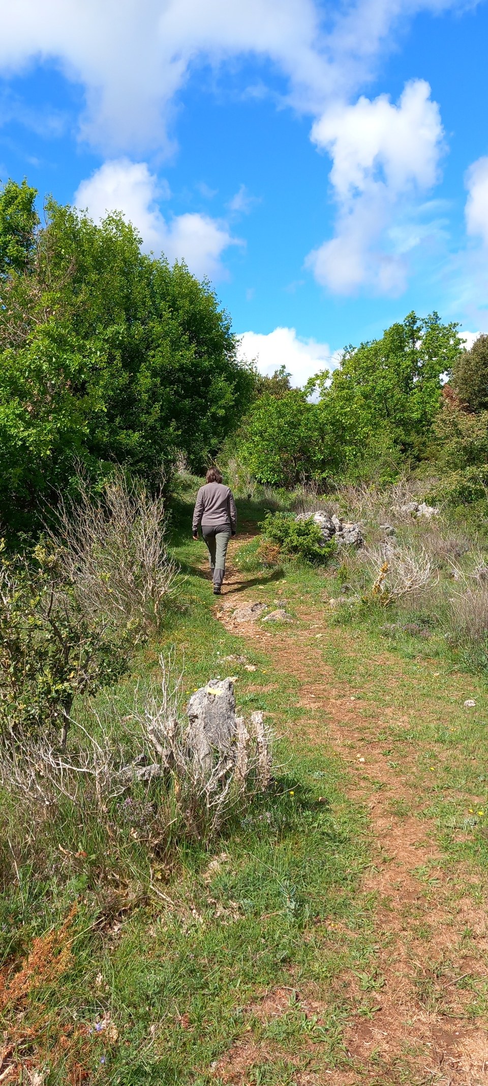 Randonneuse sur le monotrace