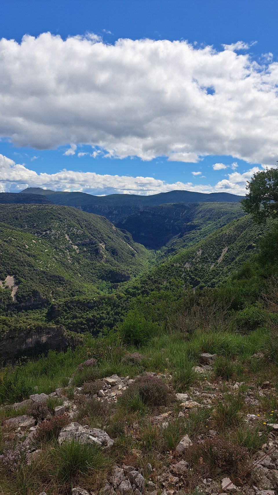 Paysage