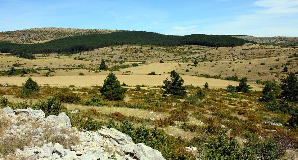 A travers le Causse