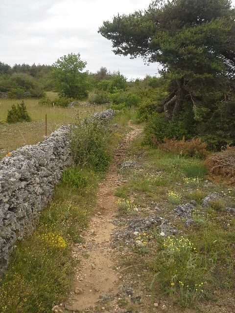 Entre la Blaquèrerie à Fontvive
