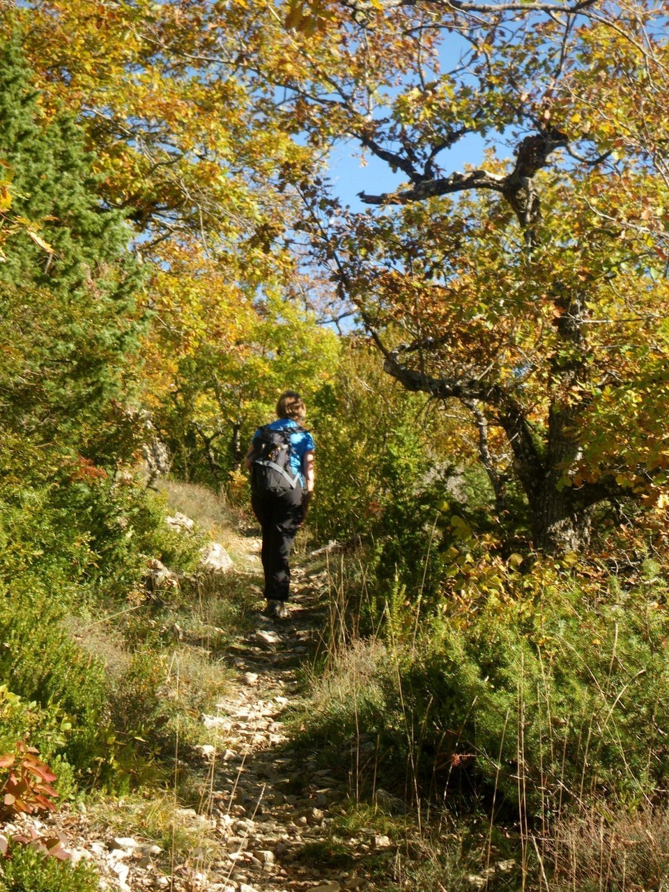 Sur le chemin...