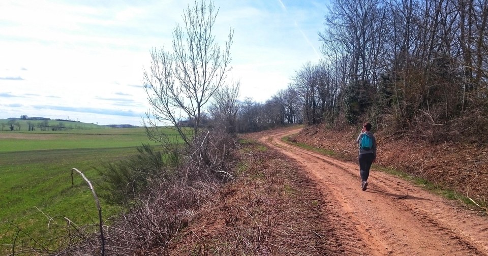 Sur le chemin...