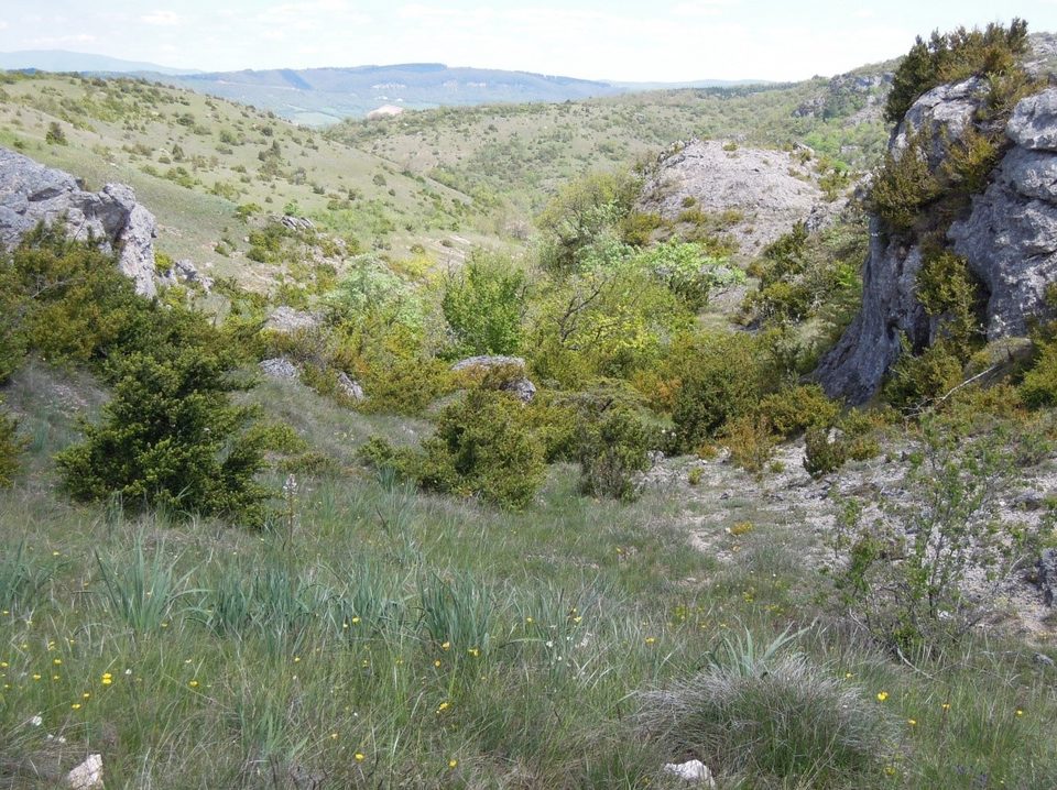 Valat de Font Longue dit ravin de la Ségalasse vu depuis les portes de Puech Blous
