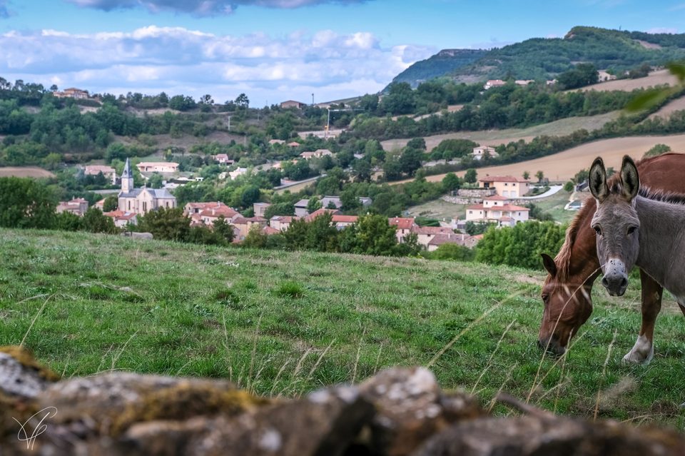 Le tour d'Alzac