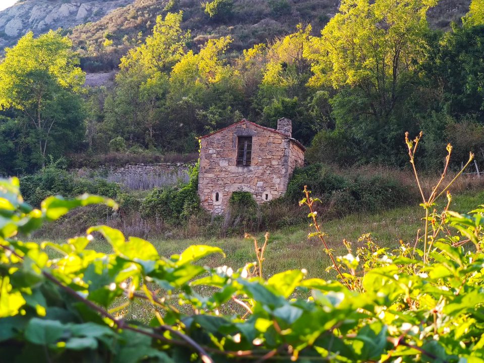 De La Maison de Vigne à St-Jean-d'Alcas