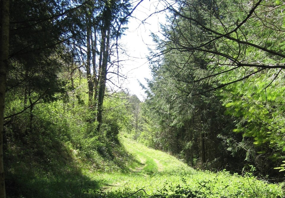 En chemin...