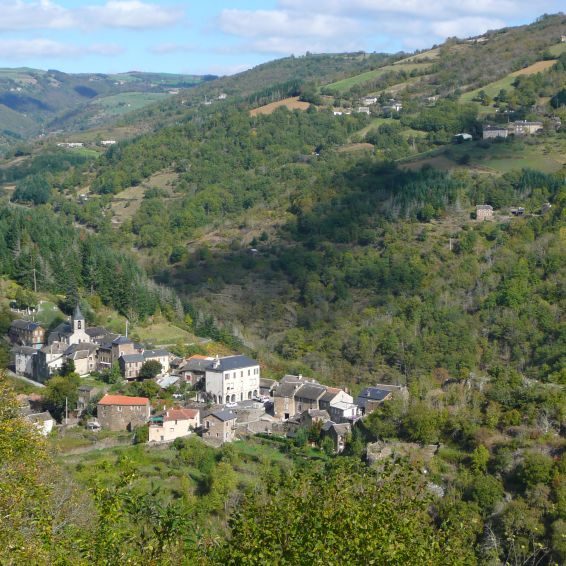 Sous les châtaigniers : Un trésor dînaire