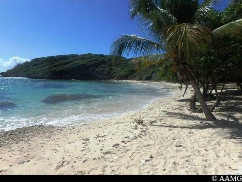 Anse Patate