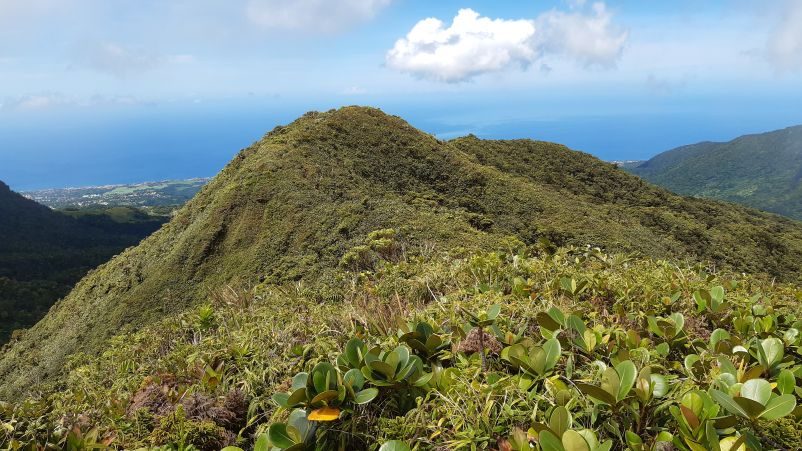 point de vue depuis le sentier