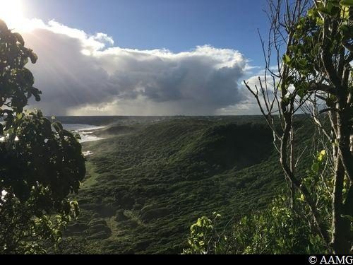 De Bois Baron à Anse Maurice