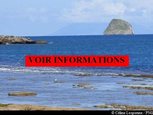 Littoral de Sainte-Rose