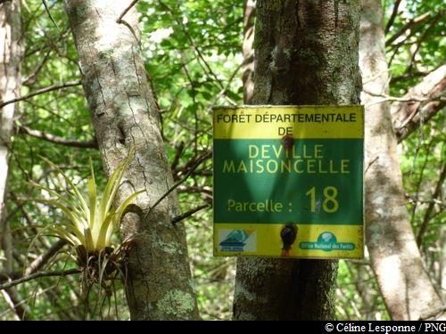Forêt de Deville
