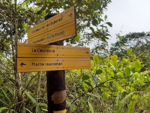carrefour trace des contrebandiers