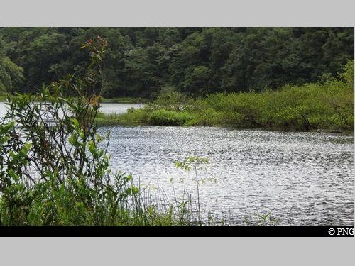 départ du sentier, depuis le parking du Grand Etang