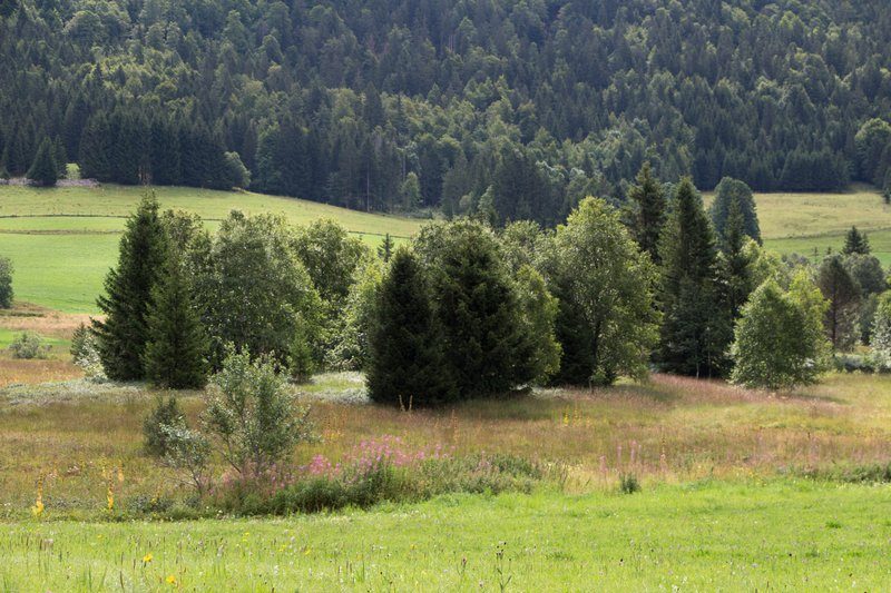 Sentier de Chapelle-des-Bois