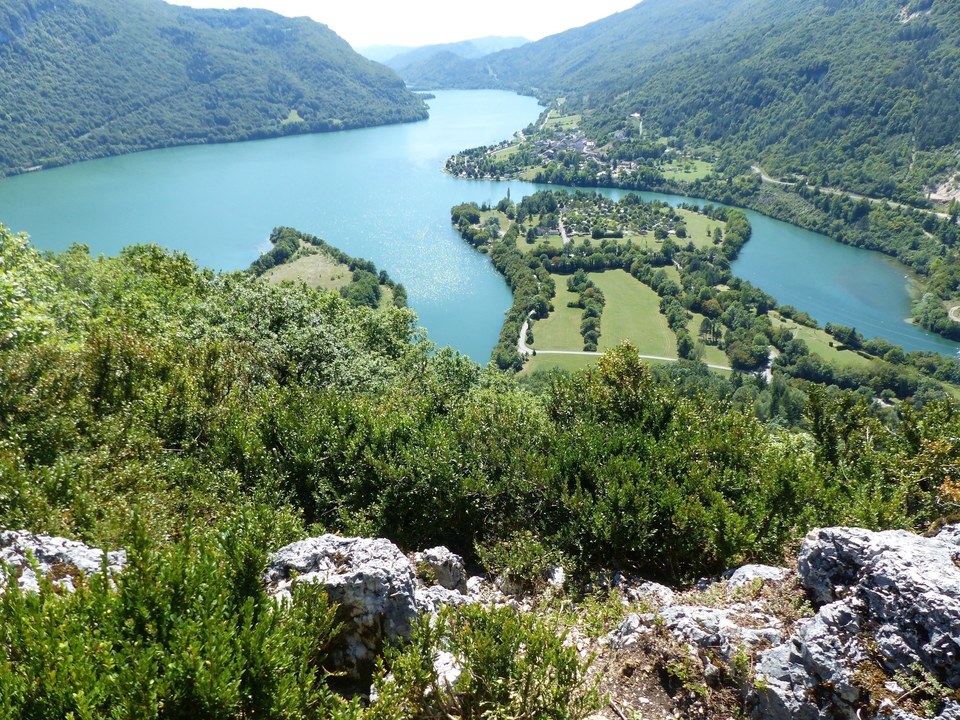 La panoramique