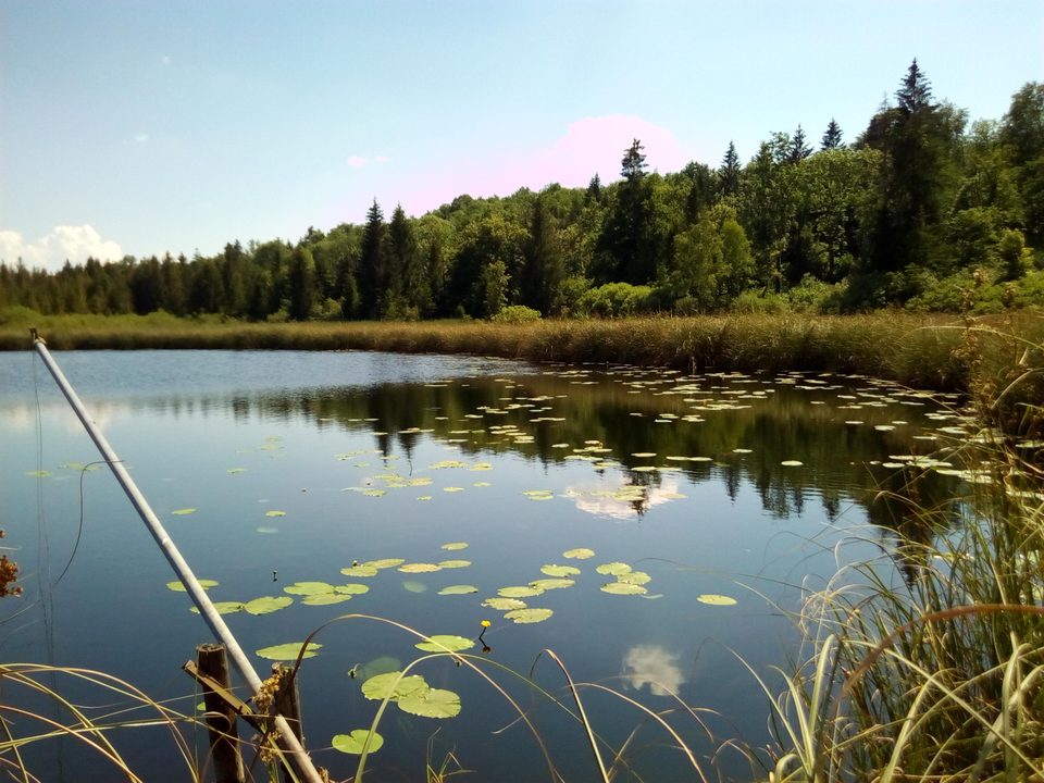Du Lac d'Onoz aux berges du Lac de Vouglans