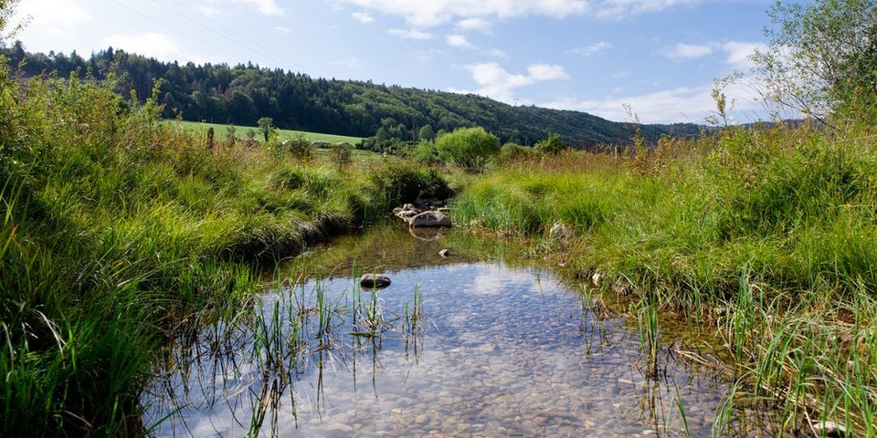 Sur les Eaux - 7B