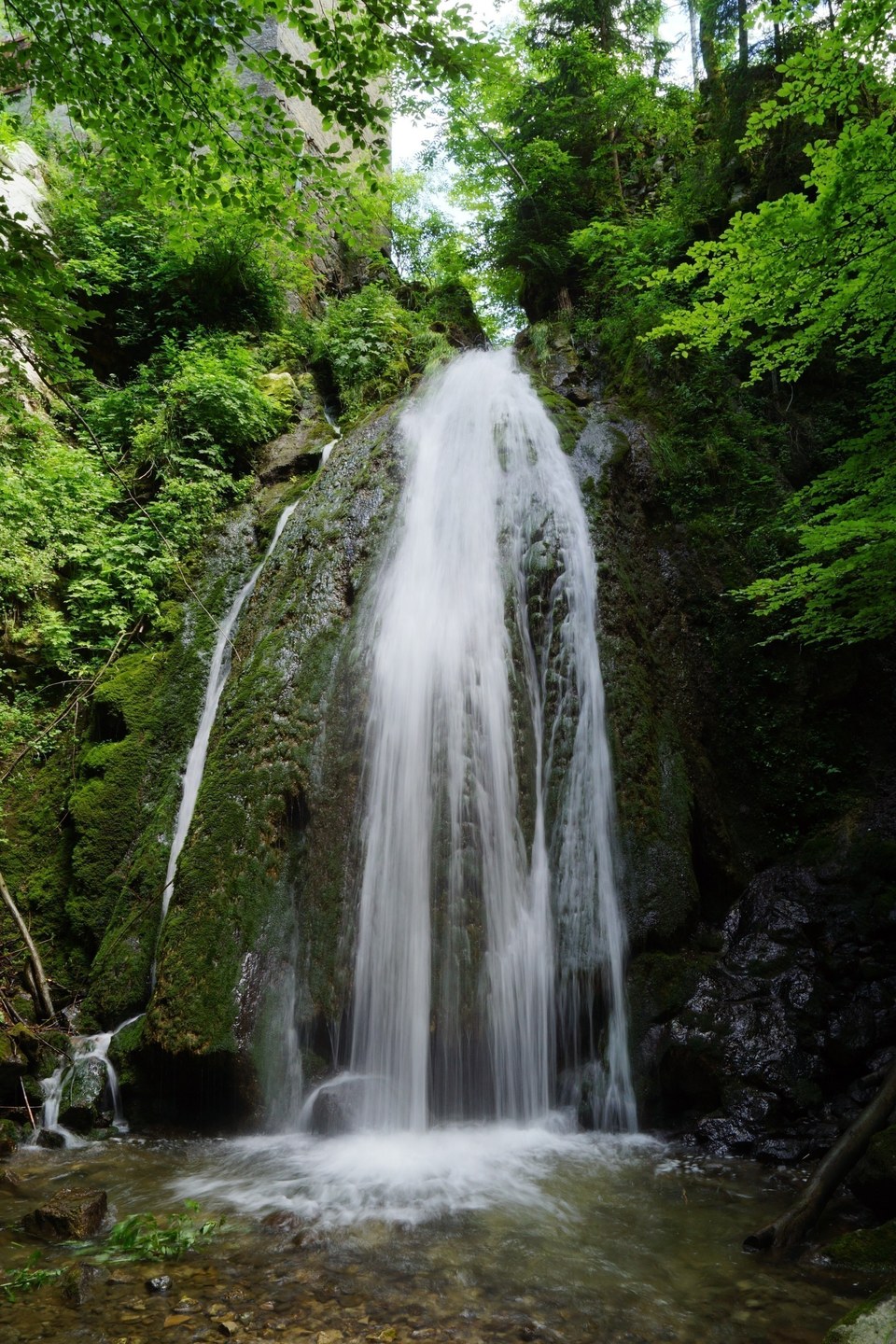 Les Cressonnières