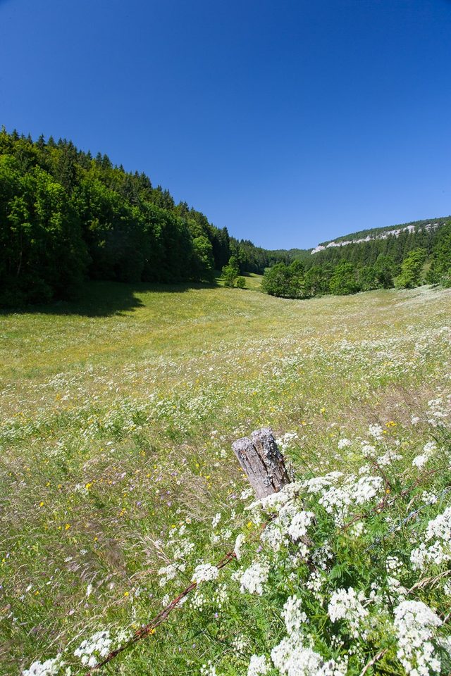 Les Arcets