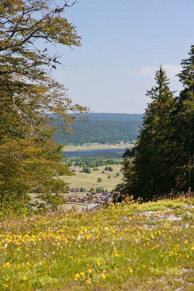 Le Belvédère des Dappes