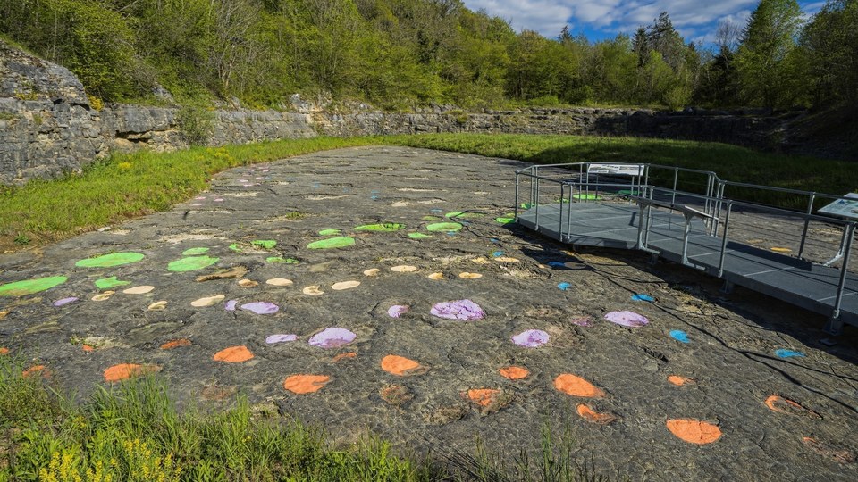 Site de pistes à dinosaures de Loulle