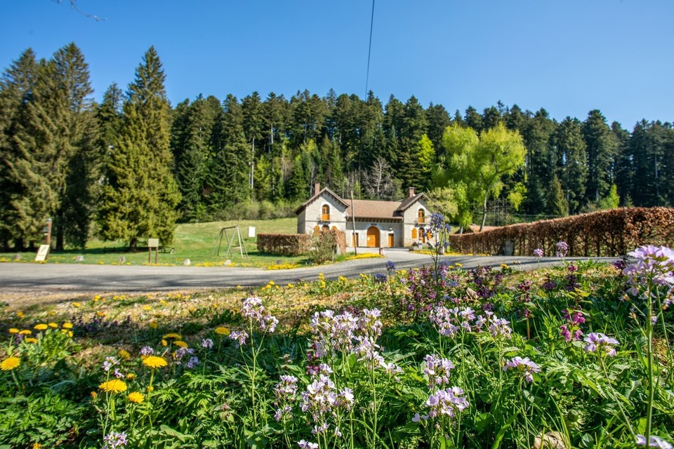 La maison forestière du Chevreuil