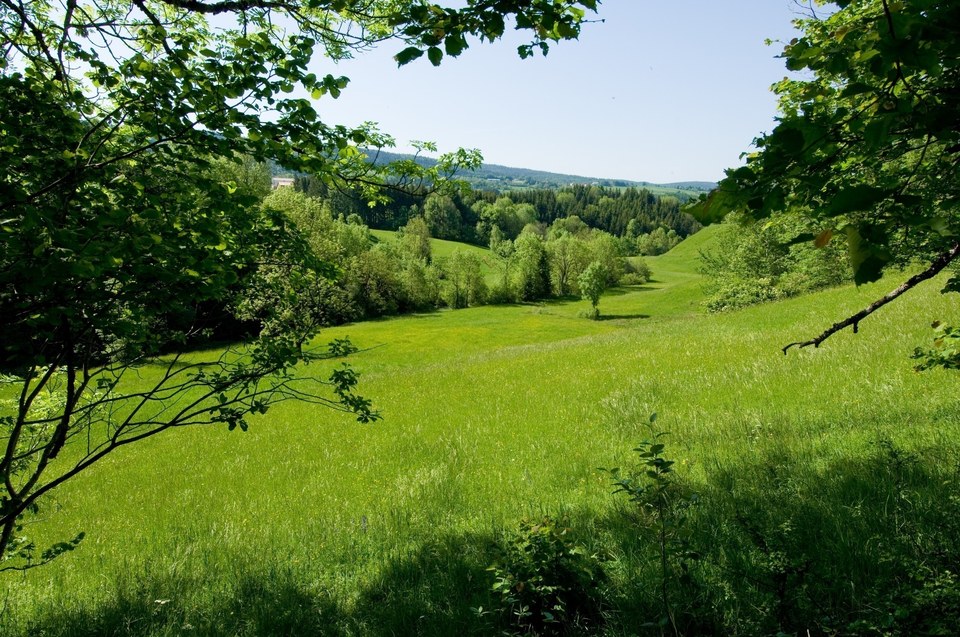 Foncine-le-Haut