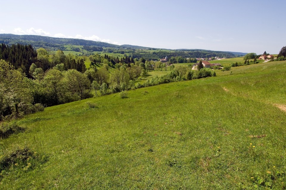 paysage_foncinelehaut_ete_©CNJ (12)