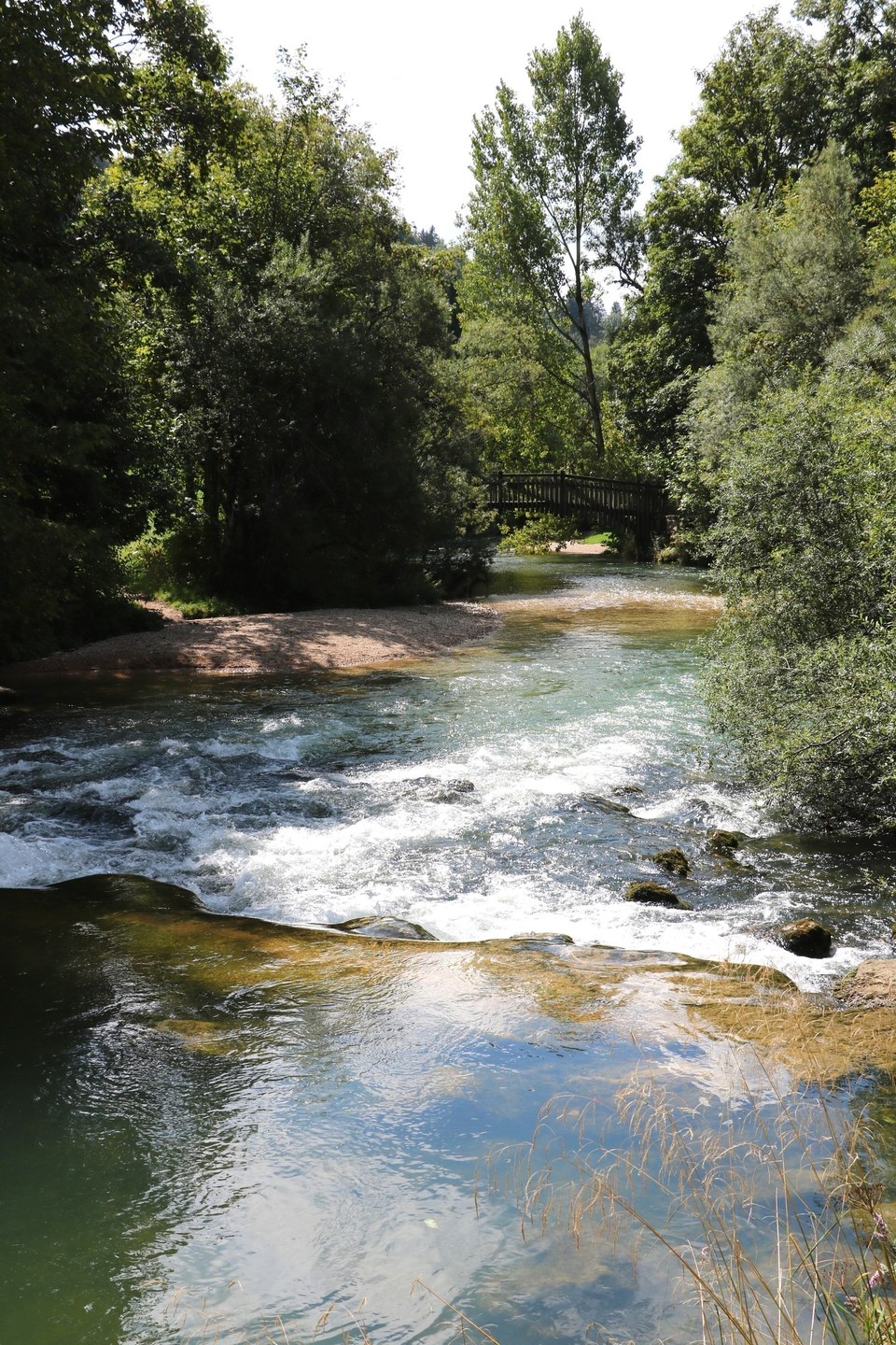 riviere_saine_foncinelehaut_ete_2018_©CNJ (2)