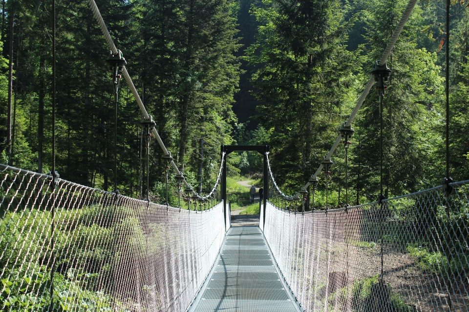 Pont suspendu - Source de l'Ain